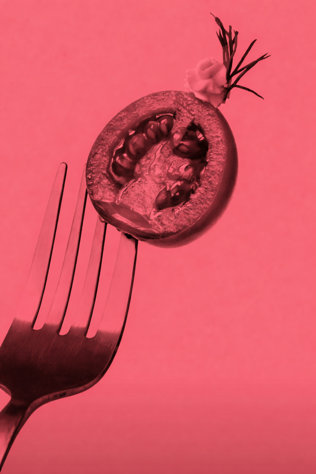 Gusto Festival artwork for A Fresh Perspective on Umbria and Tuscany
